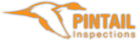 Pintail Inspections logo